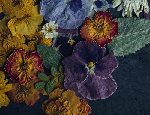 Edible Flowers
