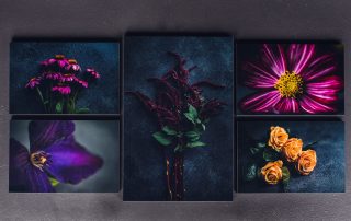 set of five vibrant floral prints in a collage