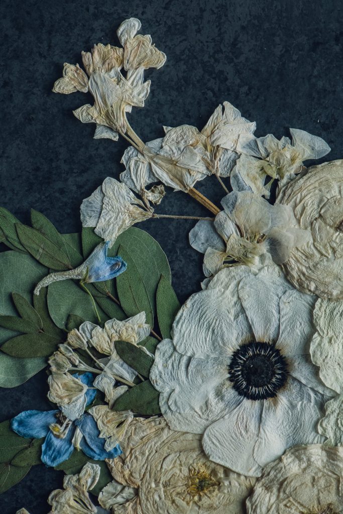 wild-blossom-flower-art-web-54 copy