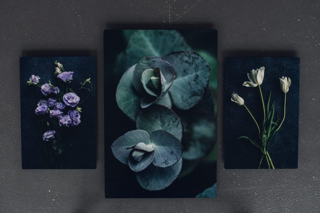 wild-blossoms-october-flatlays-bouquet-art-web-42 set of metal prints showing eucalyptus, lavender lisianthus and white tulip