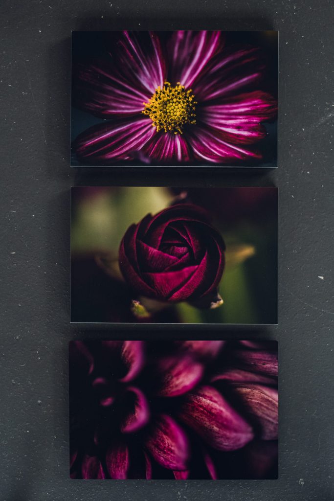 wild-blossoms-october-flatlays-bouquet-art-web-56 set of three metal prints featuring a pink cosmos, red ranunculus and magenta dahlia