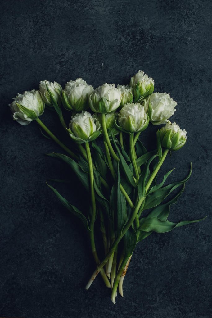 websize-8536 bunch of white double novelty tulips