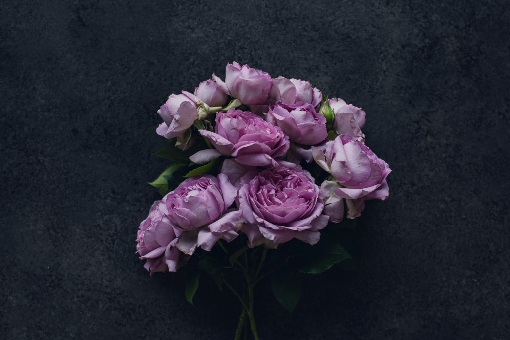wild-blossoms-june-2021-flatlays-macros-web-111 bunch of purple garden roses