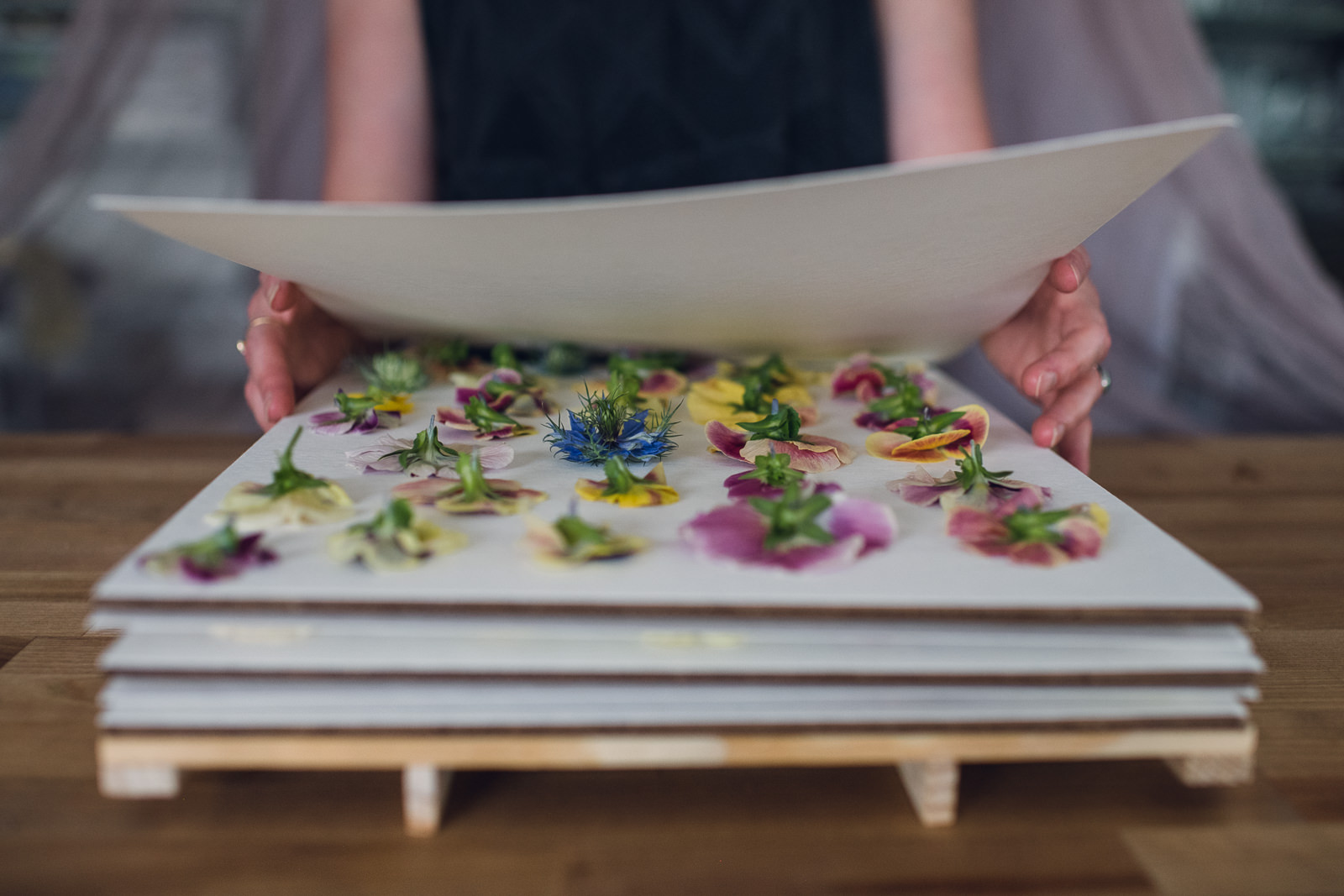 wild-blossoms-pressing-flowers-web-61 Pressing flowers in a wooded flower press.