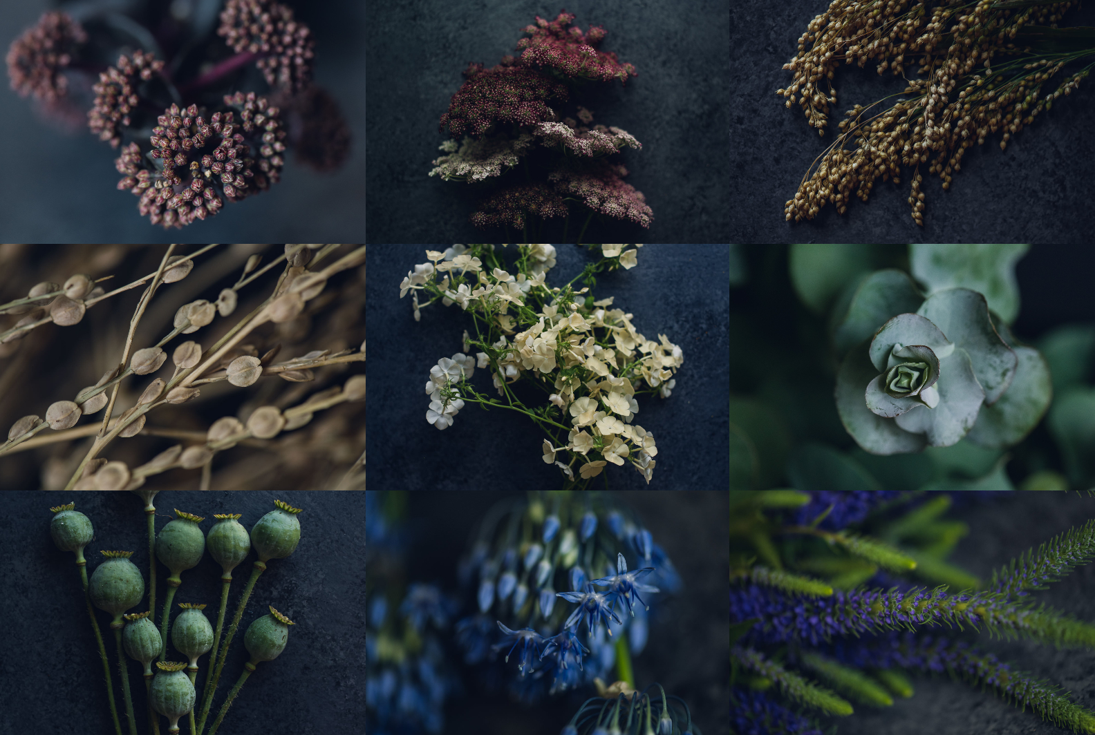 earth tone flowers with very peri accent