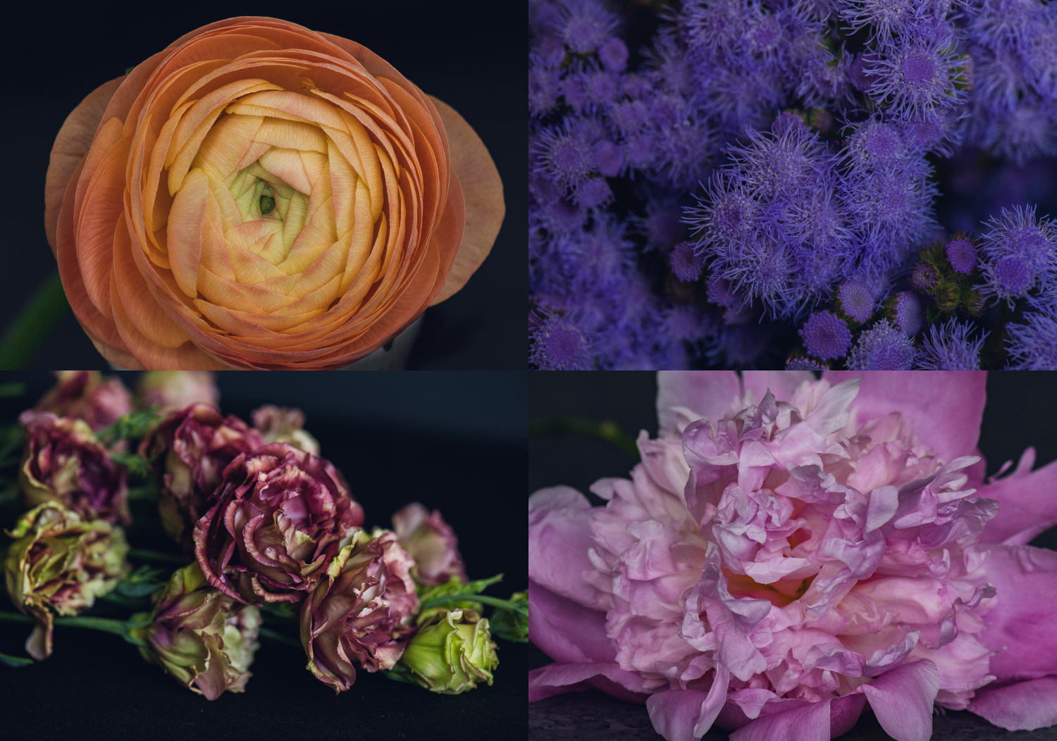 coral ranunculus, pink and green lisianthus, pink peony and purple flower create a warm summer color palette