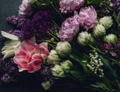 Celebrating the Spring Equinox