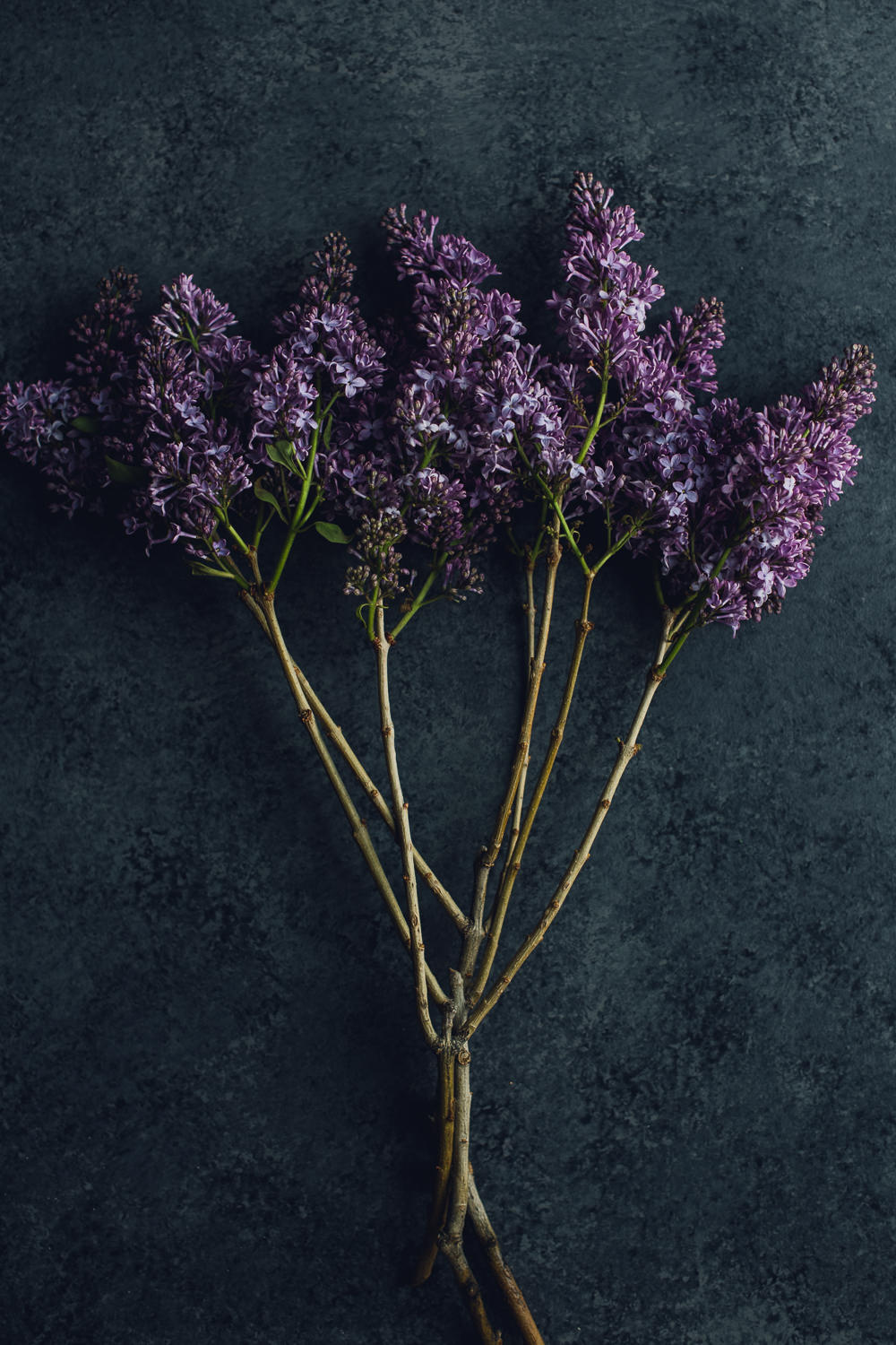 websize-8549 bunch of purple lilac