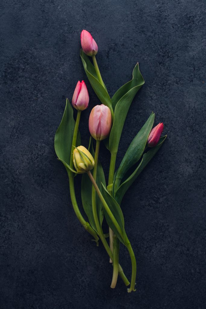 wild-blossoms-spring-flower-marcros-web-15 pink and yellow tulips