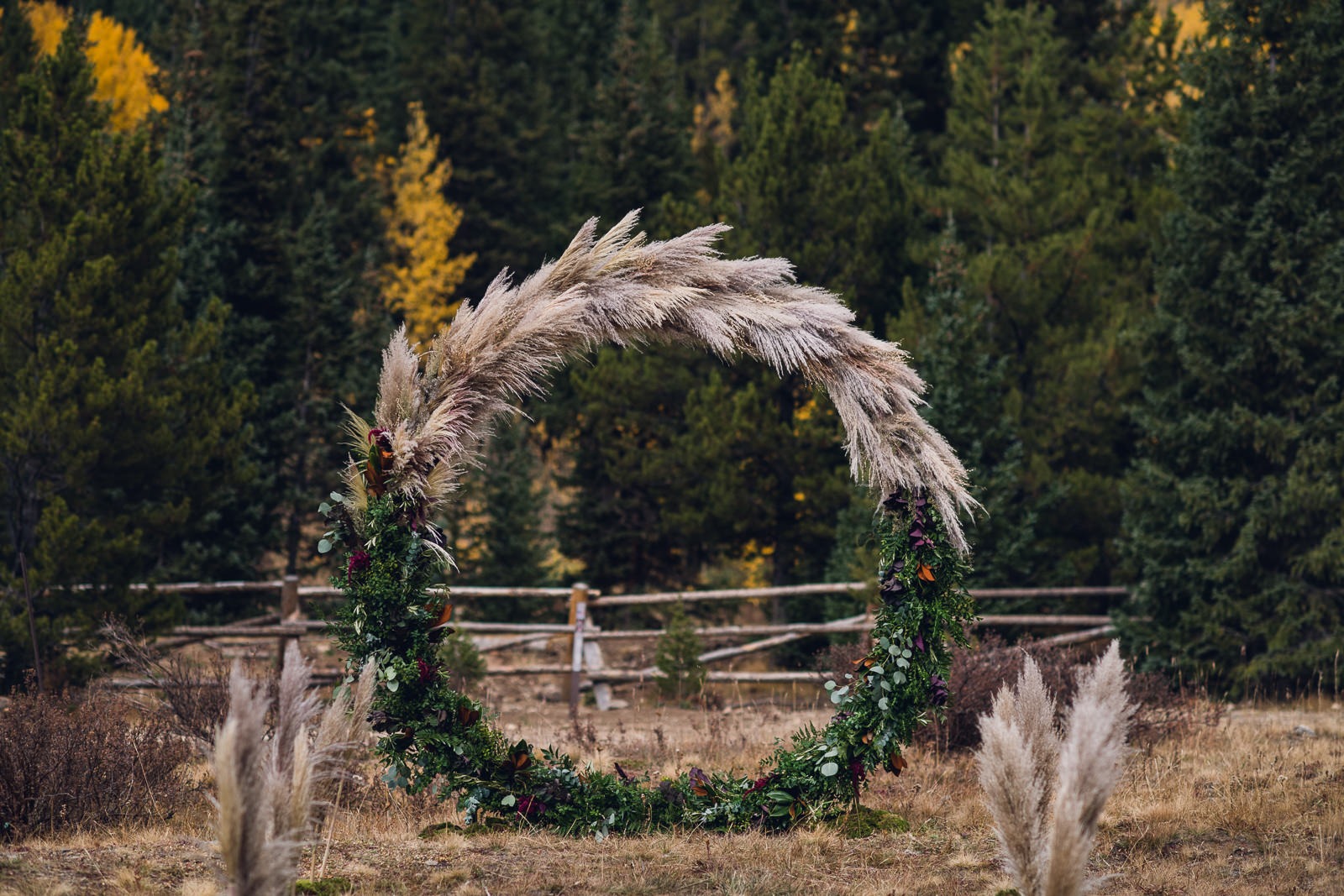wild-blossoms-derek-spencer-keystone-wedding-web-33