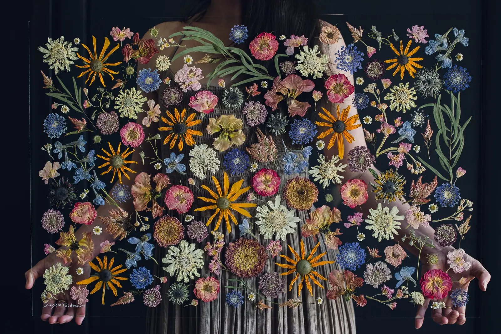 Yellow, pink, white, and blue flowers pressed to create botanical preservation flower art.