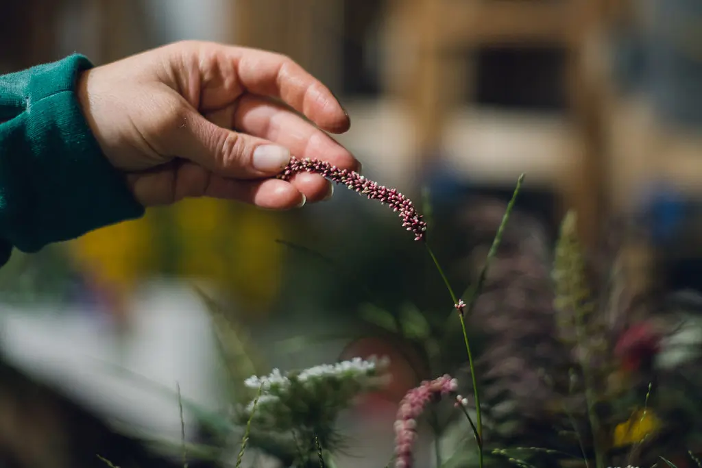 websize-3674 Floral designer creating a bouquet with foraged and local flowers.