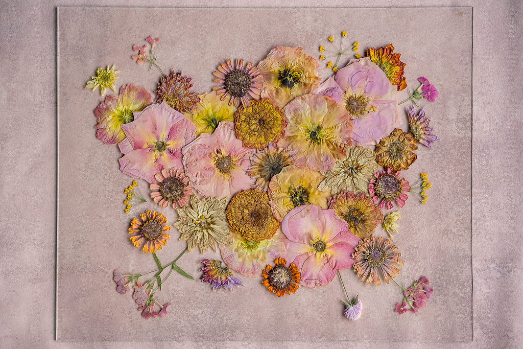 Pressed Flower Preservation 16x20 - Image 13