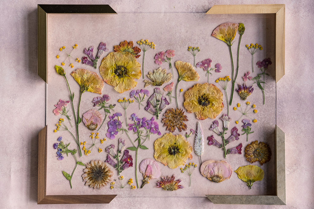 Pressed Flower Preservation 16x20 - Image 12