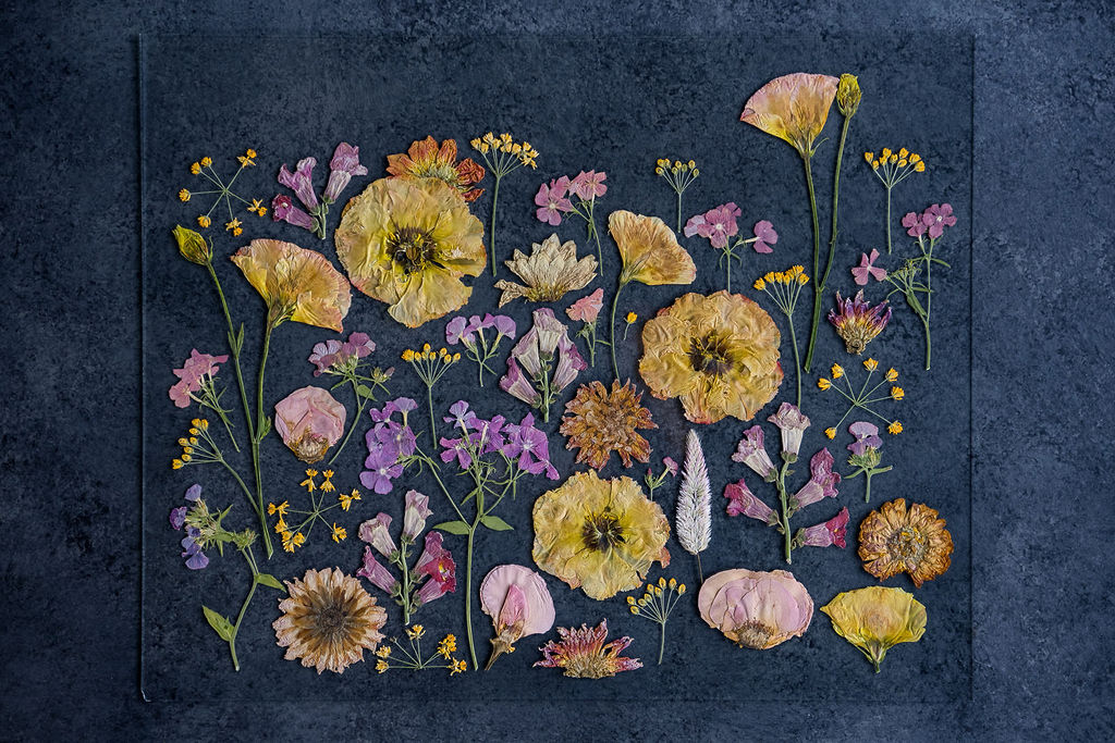 Pressed Flower Preservation 16x20 - Image 10