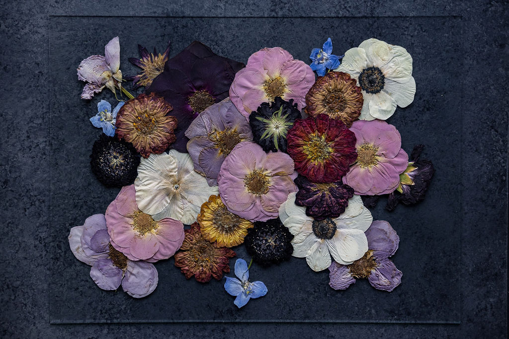 Pressed Flower Preservation 12X16 - Image 7