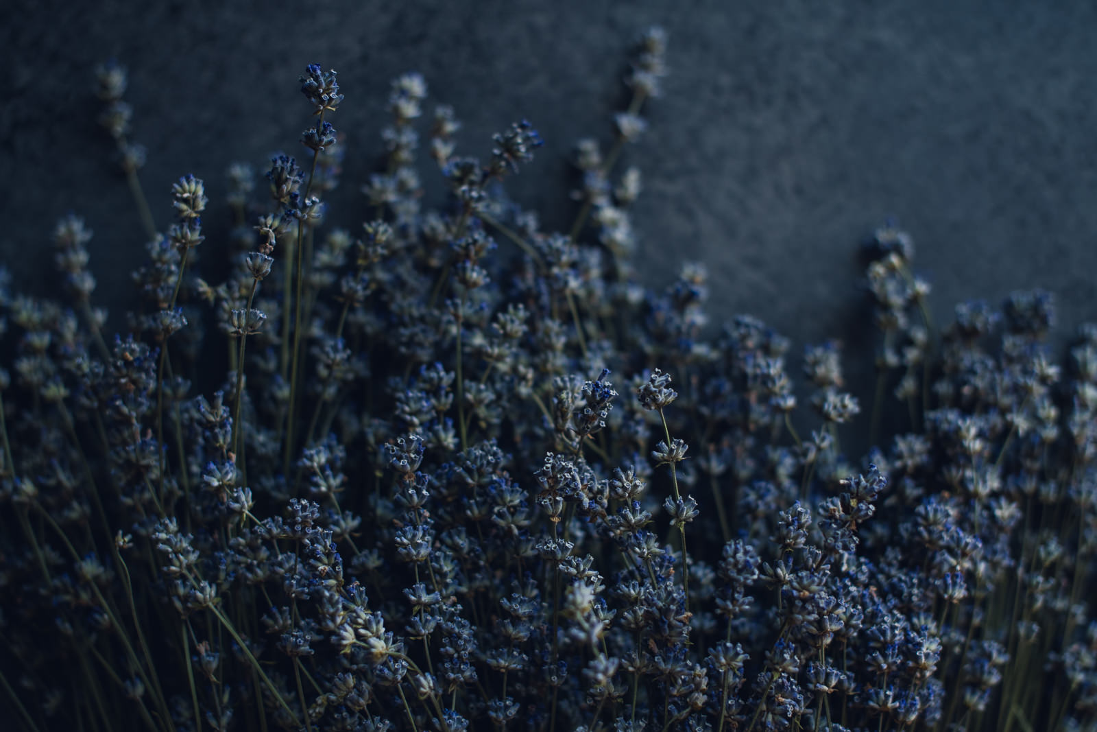 Lavender Bunch Floral Print