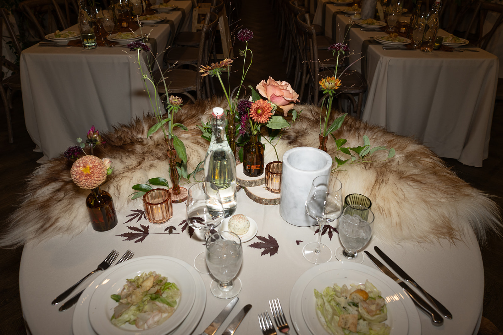 Tess + Mike Dylan Crossley Photography